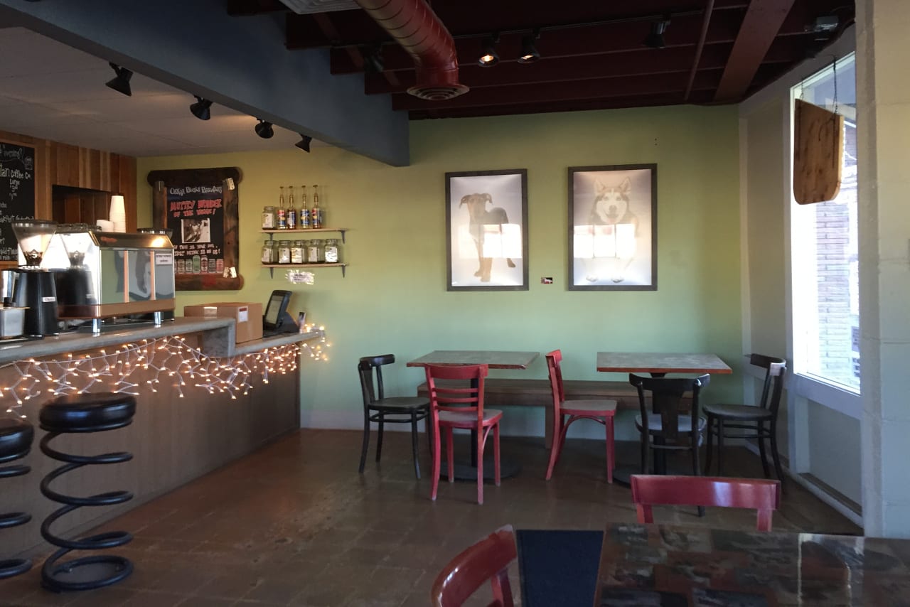 Last Call at the Bark Bar Colorado Travel Blog