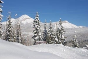 Durango Nordic Center Trail Bench