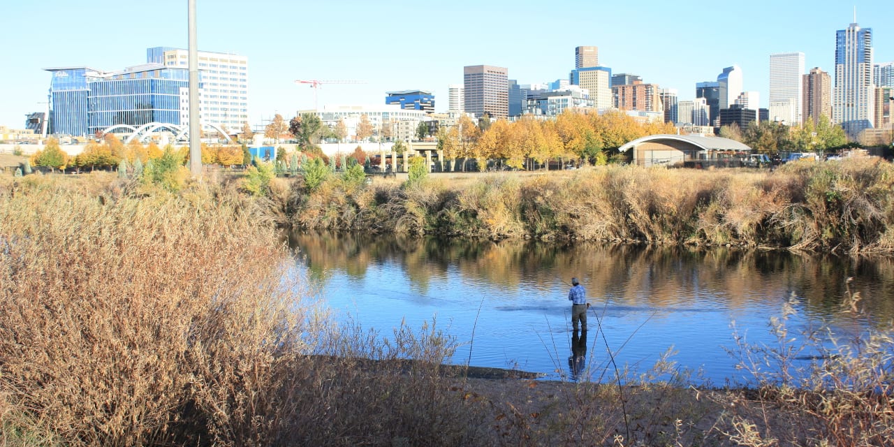 Fishing South Platte River Denver