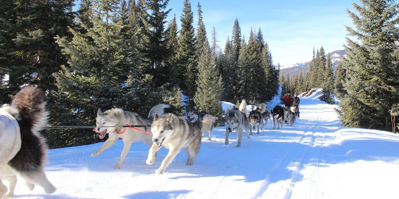 Pagosa Dogsled Adventures Get Your Mush On! Dog sledding in Pagosa