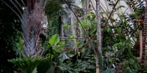 Denver Botanic Gardens Tropical Dome