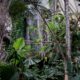 Denver Botanic Gardens Tropical Dome