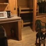 Vega State Park Cabin Interior