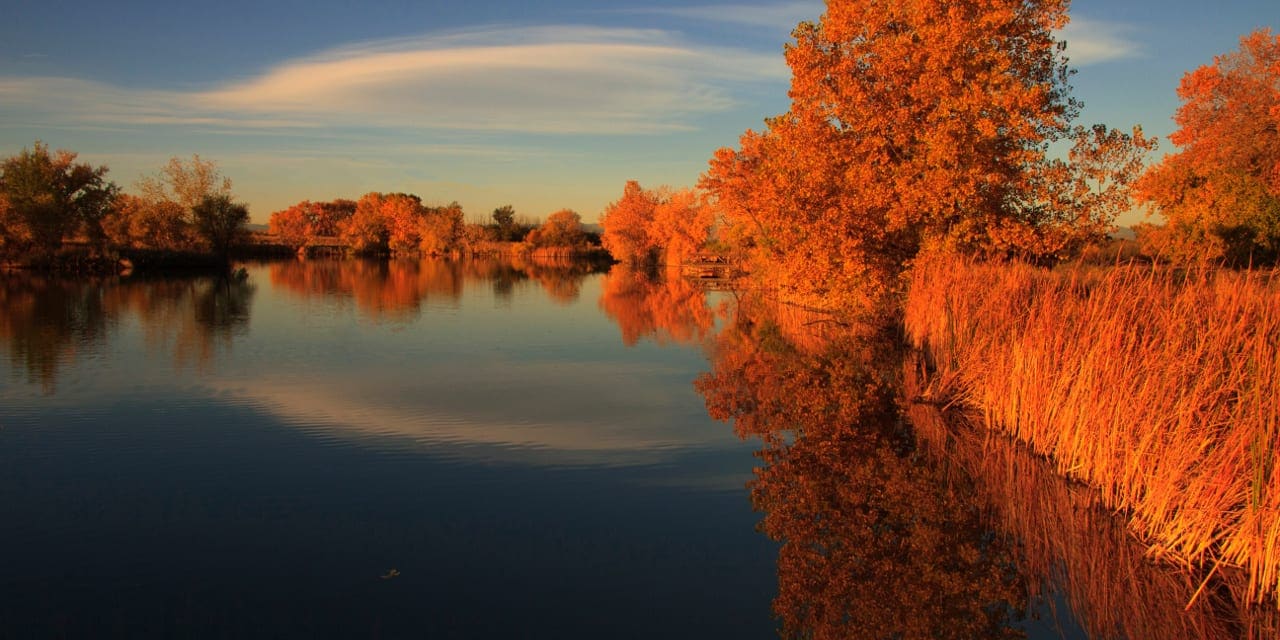 Lake Mary Rocky Mountain Arsenal