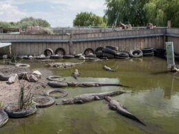 Colorado Gator Farm