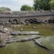 Colorado Gator Farm