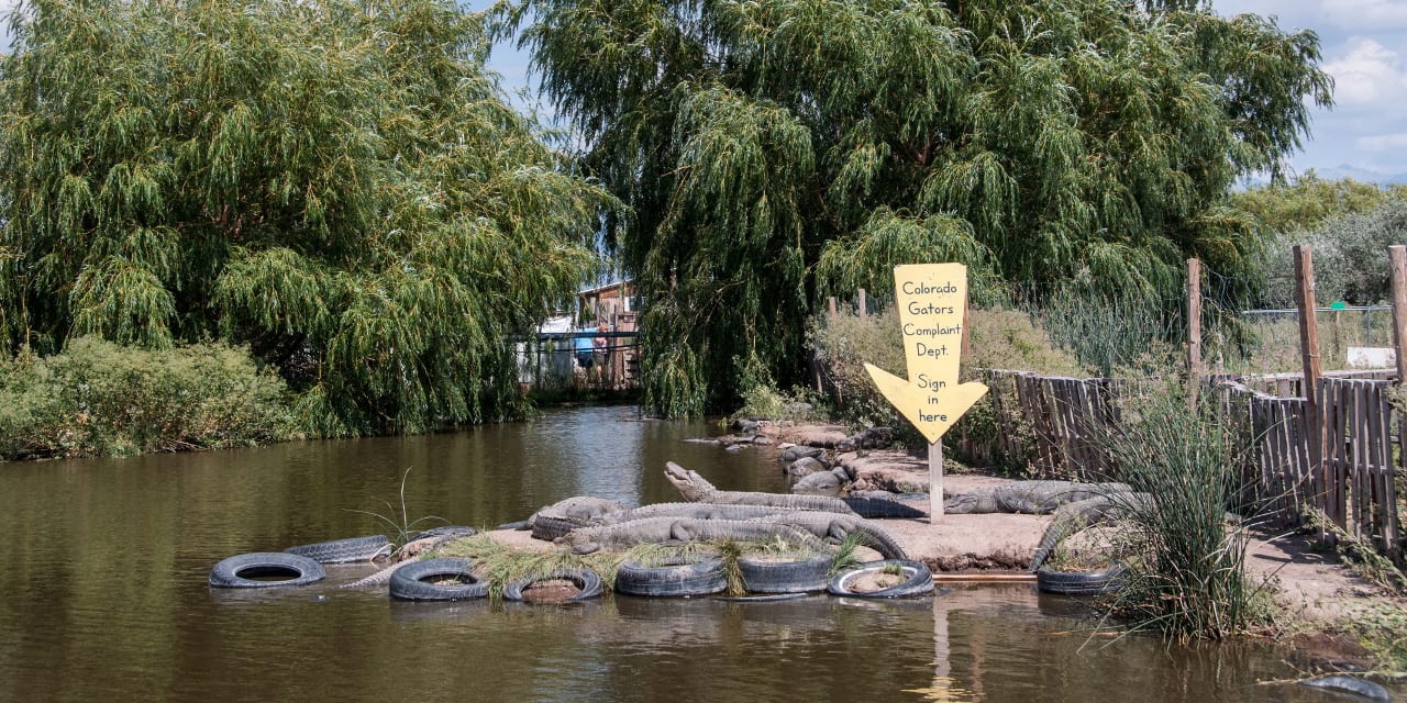 Colorado Gator Farm