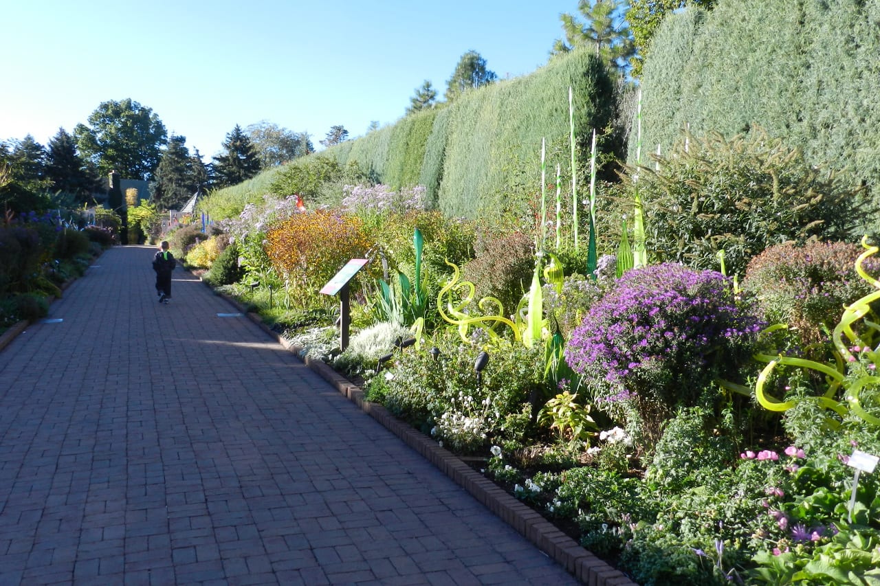 Wintertime Inside The Denver Botanic Gardens