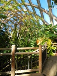 Denver Botanic Gardens Dome