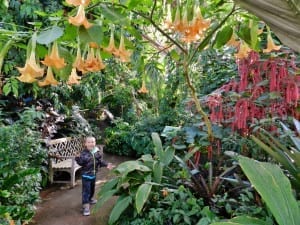 Denver Botanic Gardens Dome