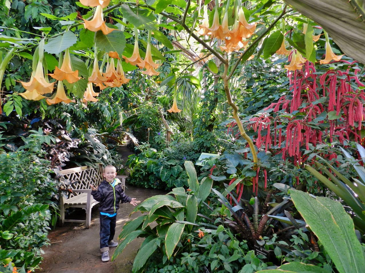 Wintertime Inside The Denver Botanic Gardens