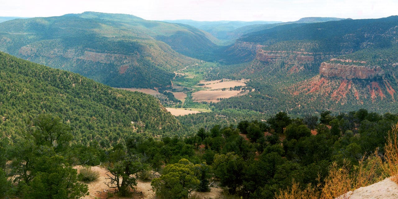 Dry Mesa Dinosaur Quarry