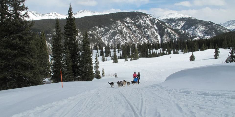 Durango Dog Ranch Sled Tour