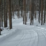 Grand Lake Nordic Center Forest Trail