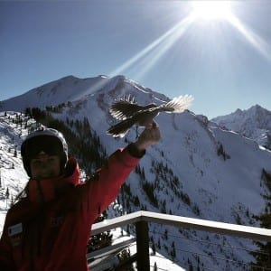 Kate Howe Aspen Ski Instructor Bird