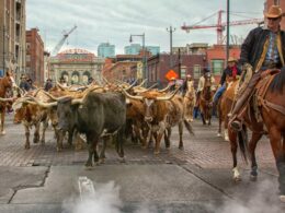 National Western Stock Show