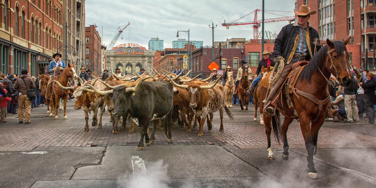 National Western Stock Show