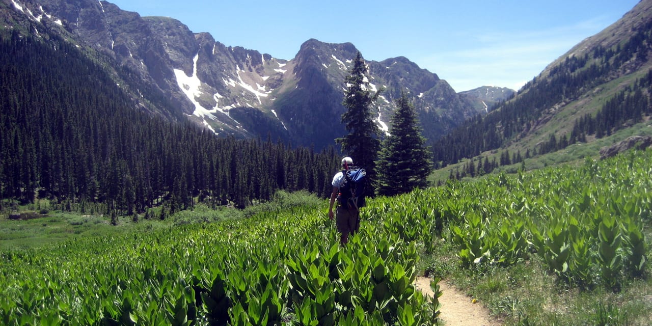 Upper Chicago Basin La Plata County Colorado