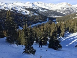 Loveland Pass Tree Skiing