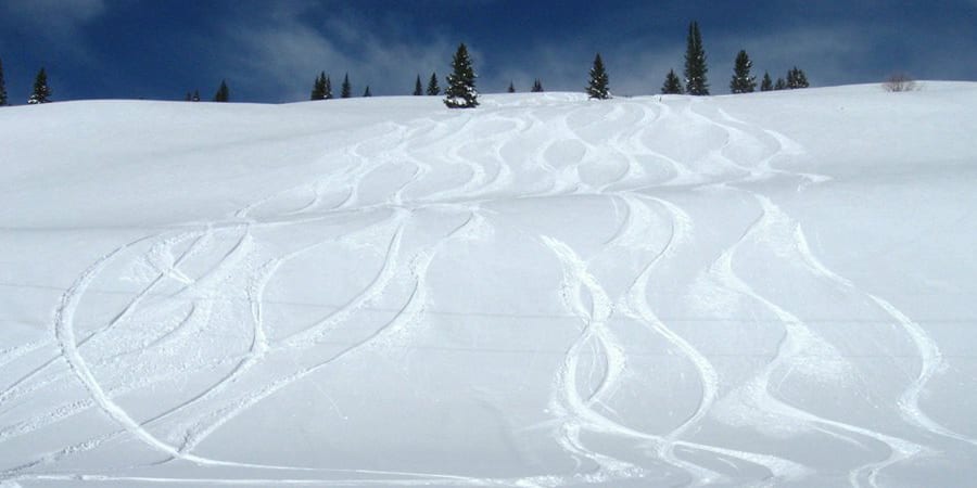 Silverton Powdercats Backcountry Skiing