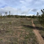 West Magnolia Nederland Colorado Root Canal Trail