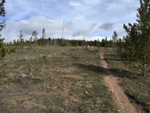 West Magnolia Nederland Colorado Root Canal Trail