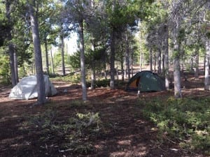 West Magnolia Camping Tents