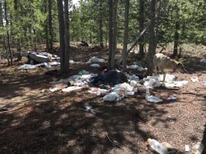 West Magnolia Camping Trash