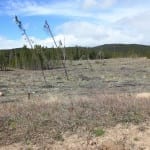 West Magnolia Nederland Colorado Roosevelt Camping