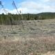 West Magnolia Nederland Colorado Roosevelt National Forest Forest