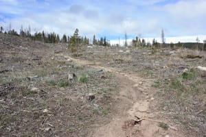 West Magnolia Nederland Colorado Lookout Trail