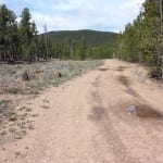 West Magnolia Nederland Colorado Forest Road