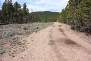 West Magnolia Nederland Colorado Forest Road