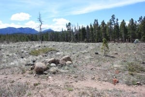 West Magnolia Camping Nederland Colorado