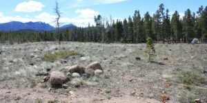 West Magnolia Camping Nederland Colorado