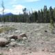 West Magnolia Camping Nederland Colorado