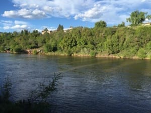 Animas River Colorado