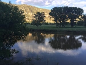 Durango Blues Train Animas River Trees