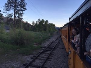 Durango Blues Train