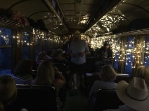 Durango Blues Train Musician