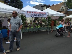 Highland Square Farmers Market Palisade Peaches