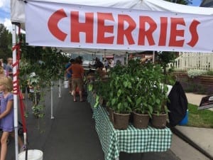 Highland Square Farmers Market Cherries