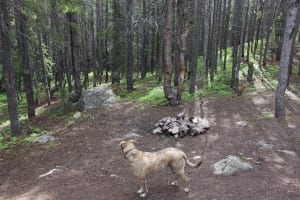 Rollins Pass Primitive Camping Colorado