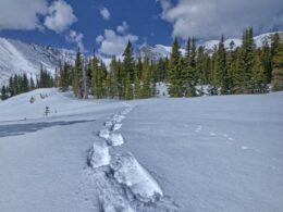 Snowshoeing Indian Peaks Wilderness Colorado