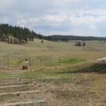 Florissant CO Community Park.