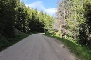 Boreas Pass Forest Road