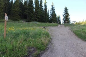 Boreas Pass Primitive Campsite