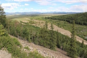 Boreas Pass Park County Landscape