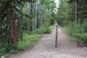 Boreas Pass Rocky Point Trailhead