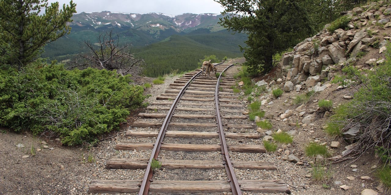 Boreas Pass Hiking Trail